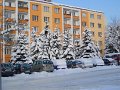 DSCN0455
