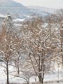 DSCN0473