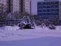 DSCN0517