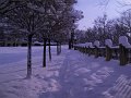 DSCN0522