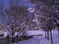 DSCN0524