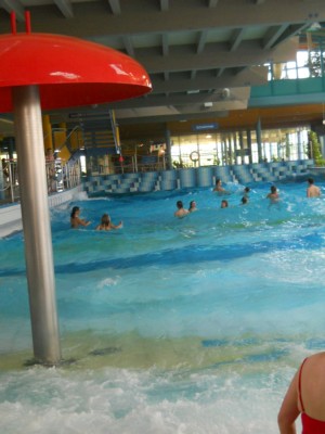 DSCN1012.jpg